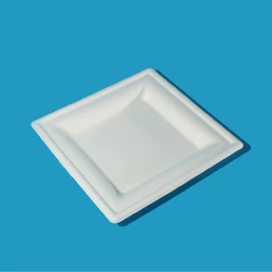 Тарелка бумажная квадратная белая БИО 20см (125шт\1000шт)